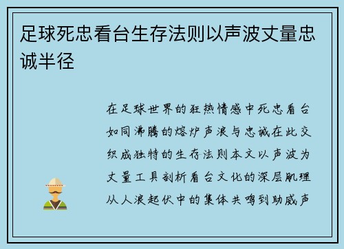 足球死忠看台生存法则以声波丈量忠诚半径