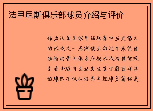 法甲尼斯俱乐部球员介绍与评价