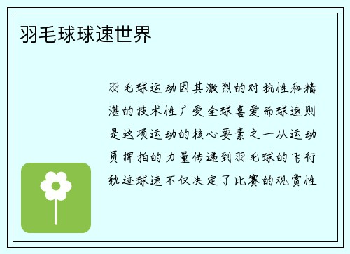 羽毛球球速世界